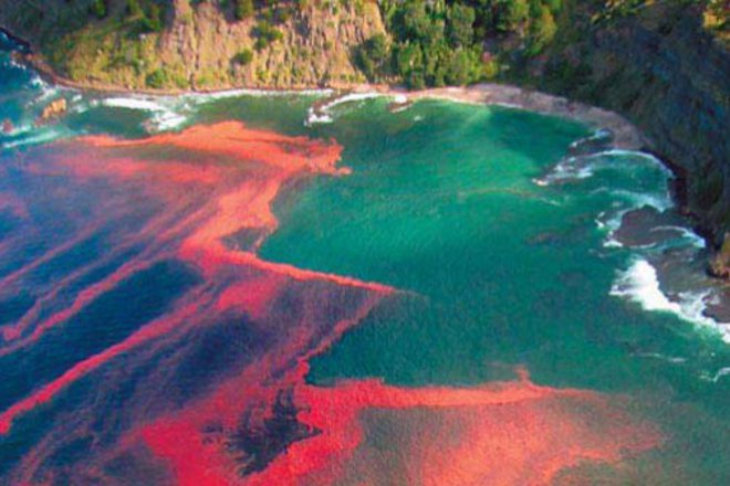 5 udivitelni prirodni yavleniya