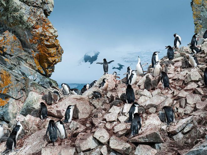 Снимките на National Geographic за юни