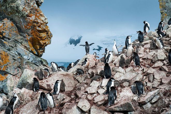 Snimkite na national geographic za yuni