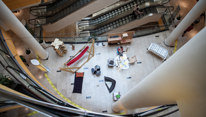 Украинец задържан от митничари. Укрил мечка в колата си