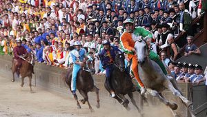 Най-лудото конно надбягване