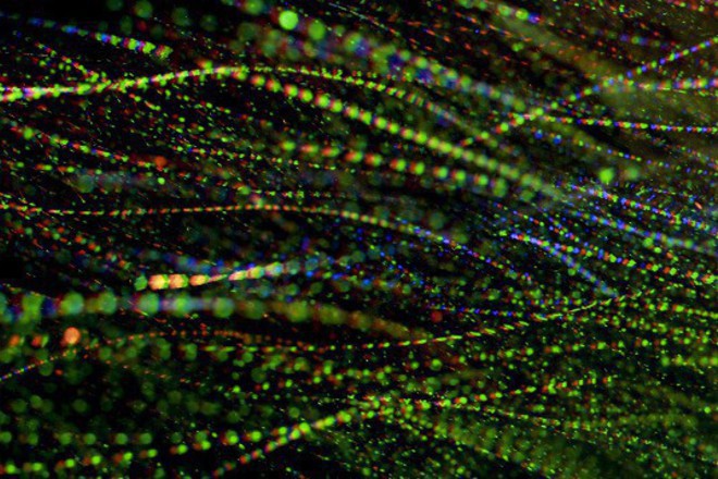 Film prozhektiran varhu snyag