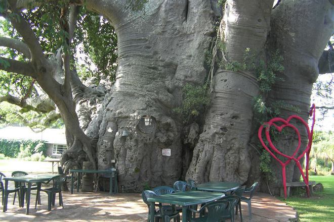 5 bara na nay neochakvani mesta