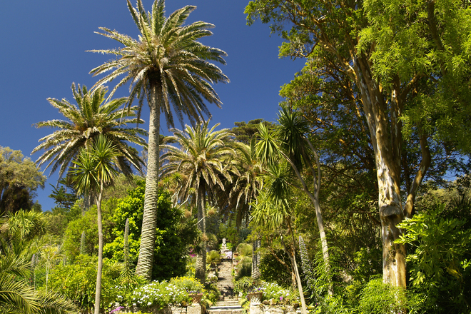  tropicheskata velikobritaniya