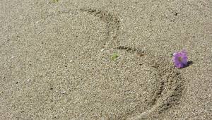 Любими плажове на българите (Част 2)