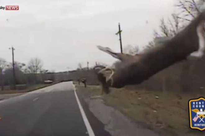 Elen skacha varhu politseyska kola i posle izchezva