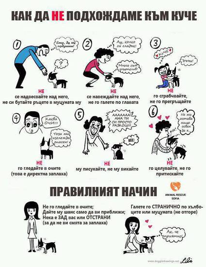 Кучешки етикет