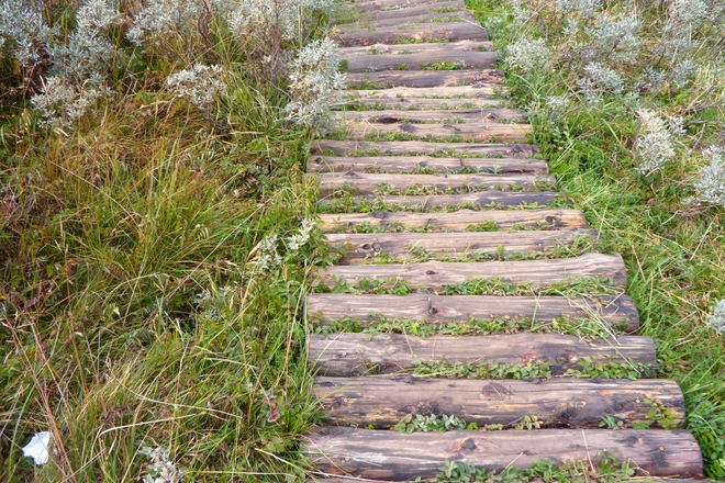 Darveno mostche podkanya kam razhodka