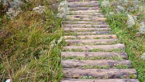 Дървено мостче подканя към разходка