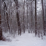 Снегът вали...