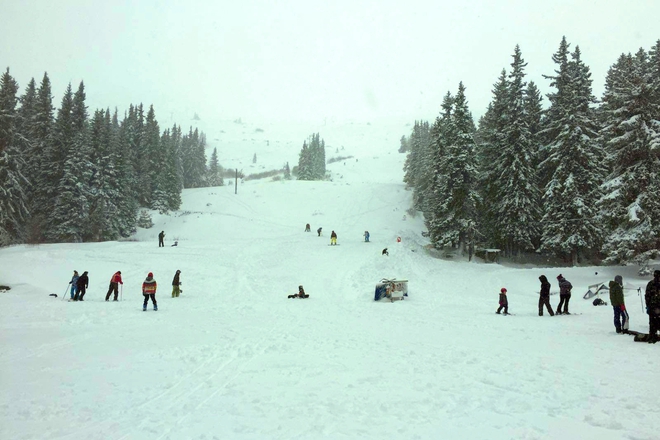 Vitosha v svetovniya den na snega 16 yanuari