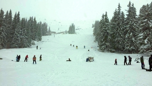 Витоша в световния ден на снега 16 януари