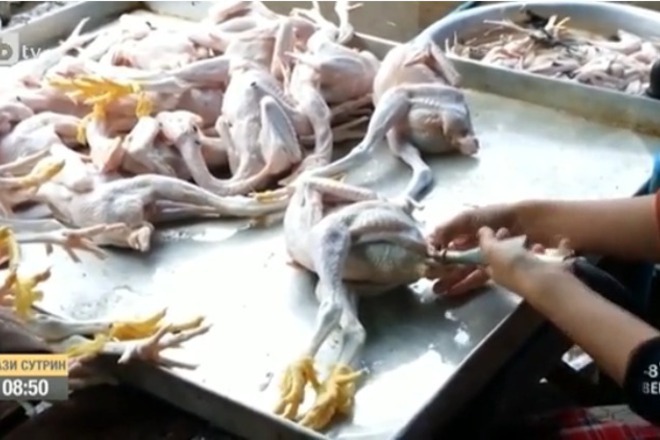 Kakvo yadem igla v parche file