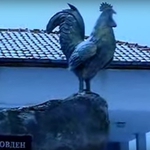 Паметникът на петела във варненското с. Голица