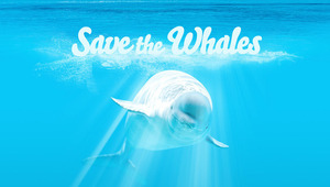 Китовете са сред застрашените от изчезване животински видове