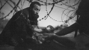 Снимката на 2015 г. в конкурса World Press Photo
