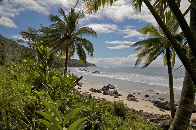 Плаж и палми на Мадагаскар