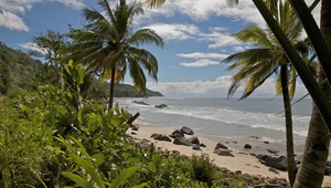 Плаж и палми на Мадагаскар