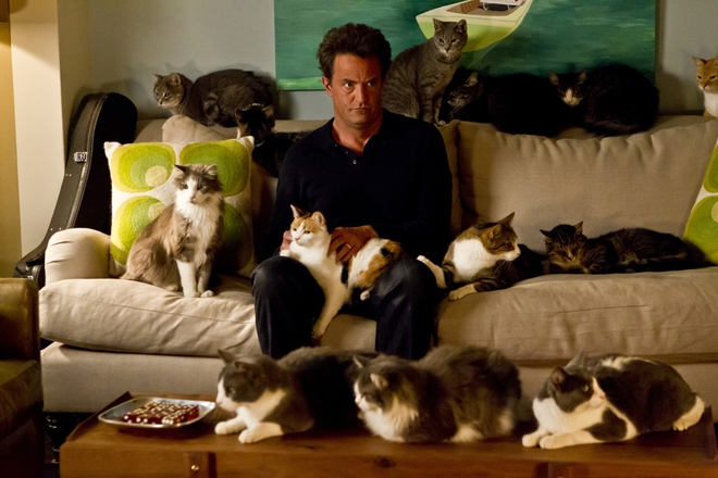 Матю Пери с 13 котки в сериала "Смело напред"