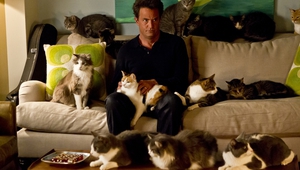 Матю Пери с 13 котки в сериала "Смело напред"