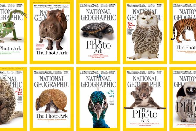 Fotografskiyat noev kovcheg