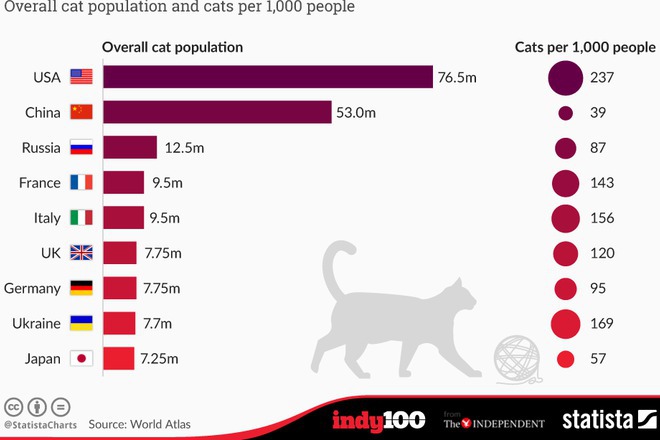 Top 10 na darzhavite s nay mnogo kotki