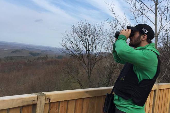 Petar nizamov perata