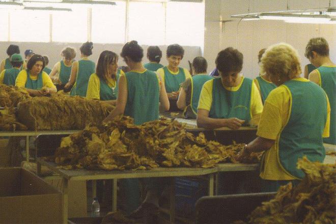 Prerabotka na tyutyun