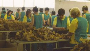 Преработка на тютюн