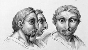 Хората, които приличат на сови