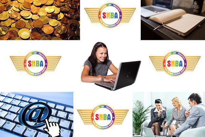 Snba social network business academy