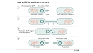 Как се разпространява антибиотичната резистентност
