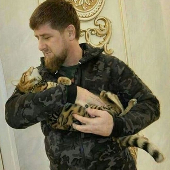 Рамзан Кадиров с котката си