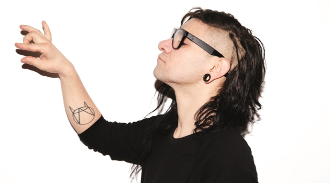 Скрилекс в едър план