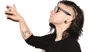 Скрилекс в едър план