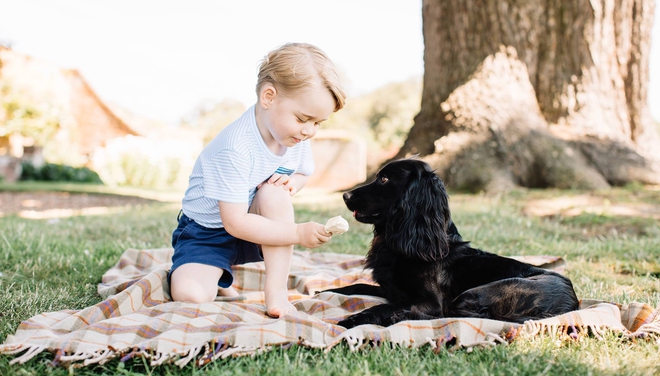 Принц Джордж дава сладолед на кучето си