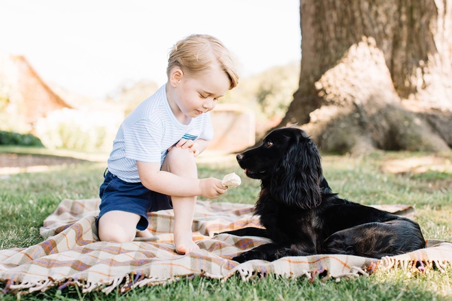 Prints dzhordzh dava sladoled na kucheto si