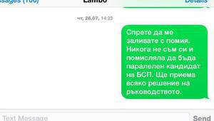 Мая Манолова с есемес до Стефан Данаилов за президентските избори 