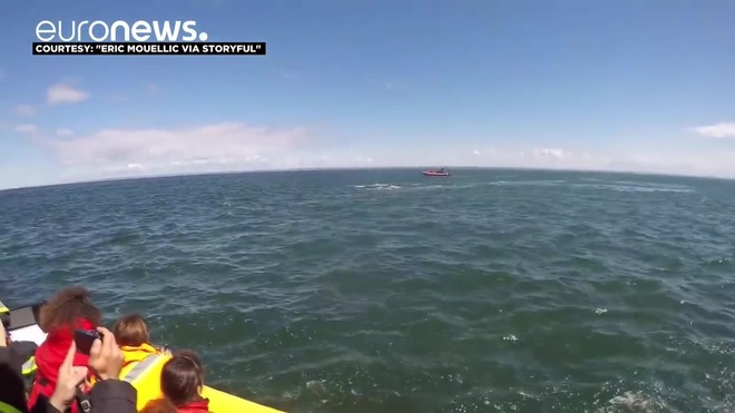 Огромен кит си играе с туристи в лодка