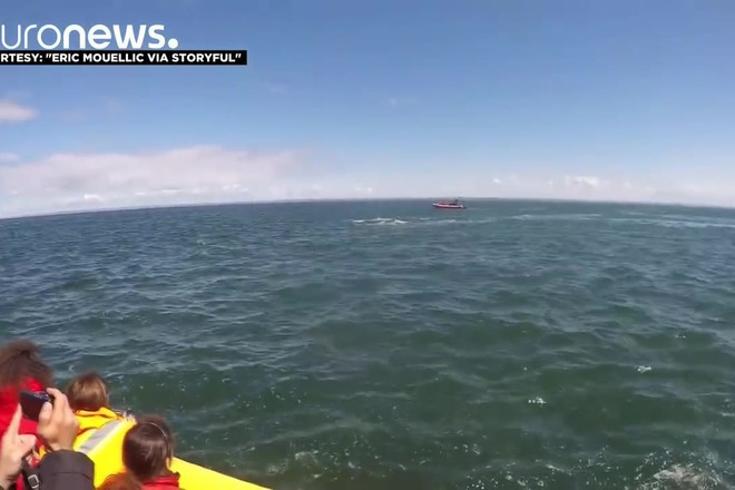 Ogromen kit si igrae s turisti v lodka