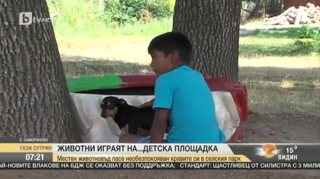 Животни "играят" на детска площадка