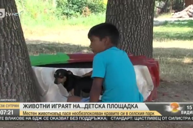 Zhivotni igrayat na detska ploshtadka