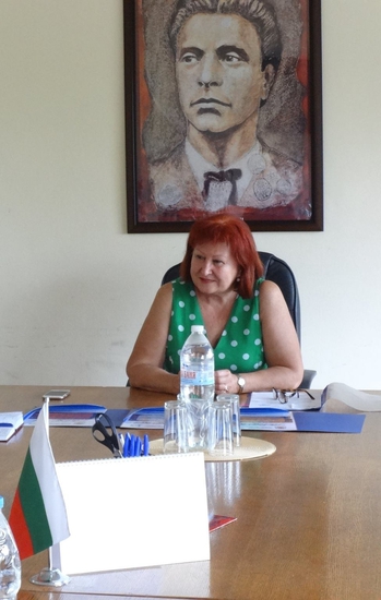 Цвета Авджиева като кмет на район "Младост"