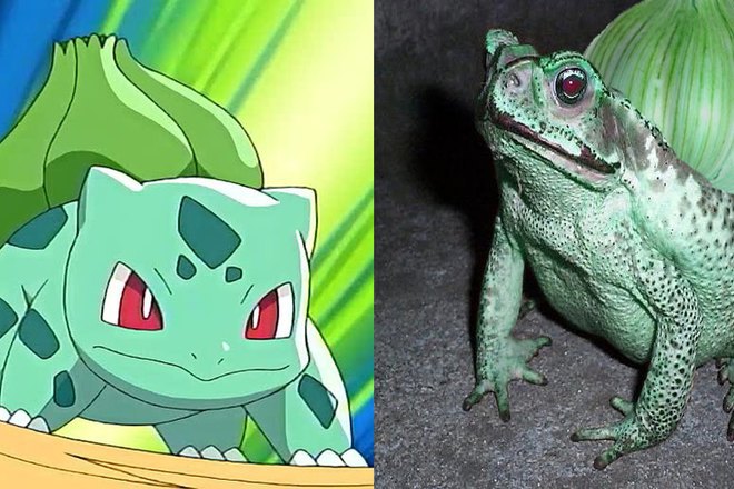 Pokemonite v realniya svyat