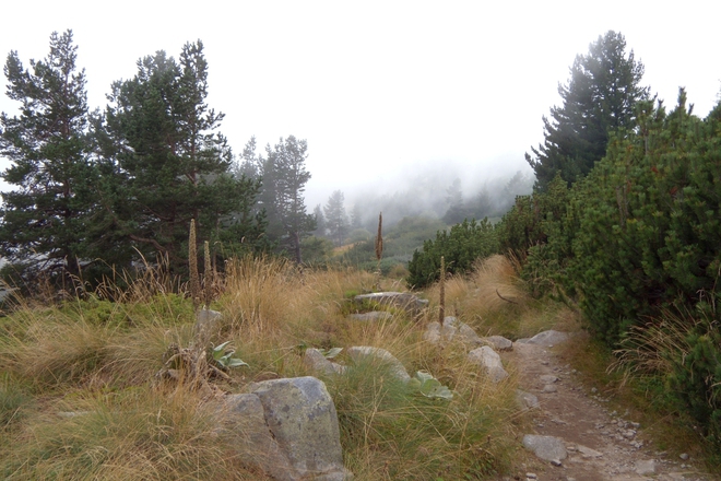 Vitosha prez septemvri