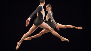 Bloodlines на Стивън Петронио