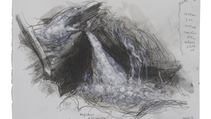 Недко Солаков, "Природа номер 6"