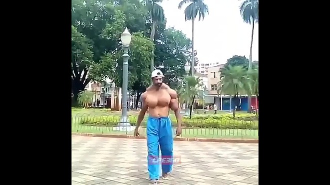 Мускули