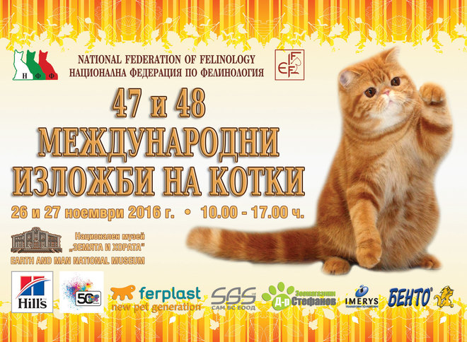 Международните изложби на котки, 26-27 ноември 2016 г.