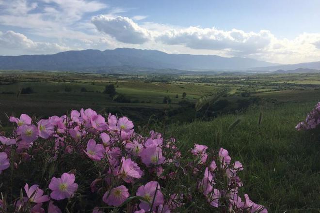  forbs preporachva balgariya za 2017 g